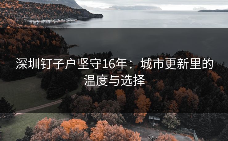 深圳钉子户坚守16年：城市更新里的温度与选择
