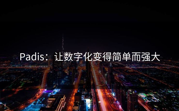 Padis：让数字化变得简单而强大