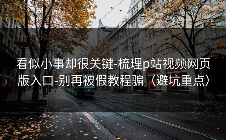 看似小事却很关键-梳理p站视频网页版入口-别再被假教程骗（避坑重点）